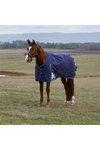 2025 Weatherbeeta Comfitec Plus Dynamic Turnout 1029009 - Navy
